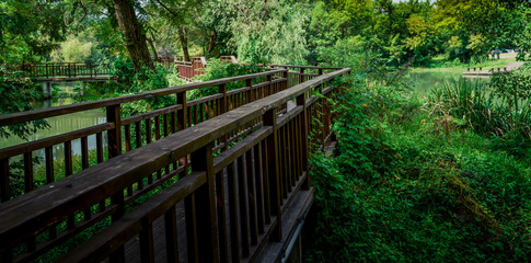 Captured in Hangzhou Xixi Wetland scenery