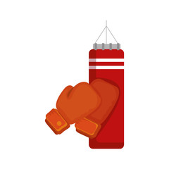 boxing sport gloves and pushbag