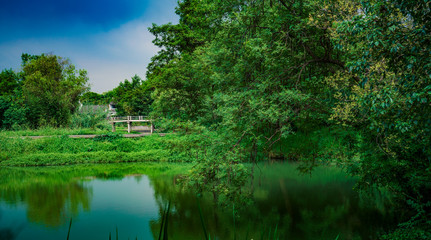 Captured in Hangzhou Xixi Wetland scenery