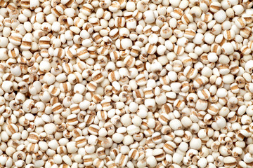 Fototapeta premium Job's tears texture background, Concept food for healthy.