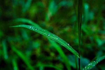 Captured in Hangzhou Xixi Wetland scenery