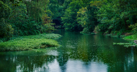 Fototapeta na wymiar Captured in Hangzhou Xixi Wetland scenery