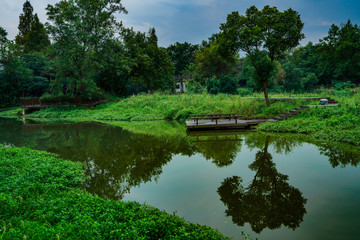 Captured in Hangzhou Xixi Wetland scenery