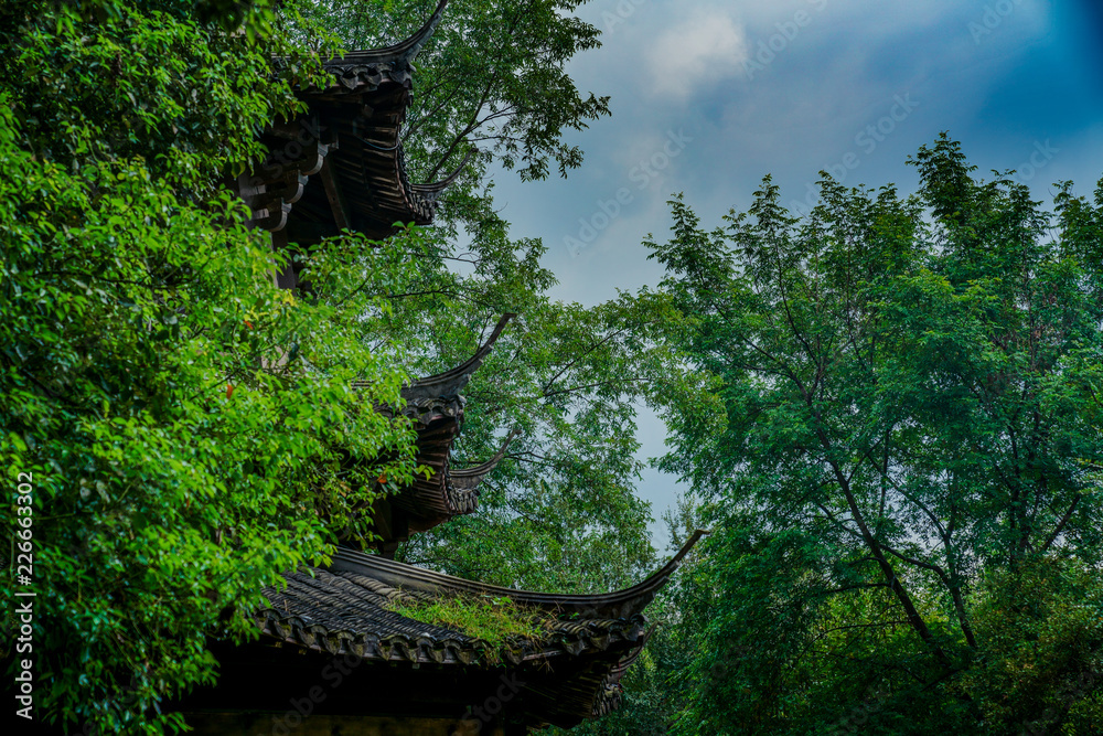 Poster captured in hangzhou xixi wetland scenery