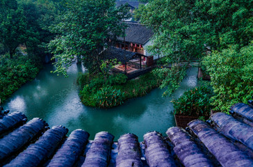Captured in Hangzhou Xixi Wetland scenery