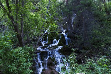 Colorado mountain waterfall with lots of fresh green scenery