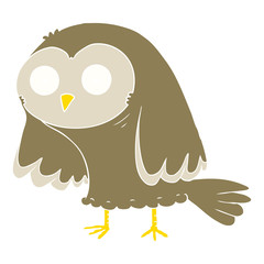 flat color style cartoon owl