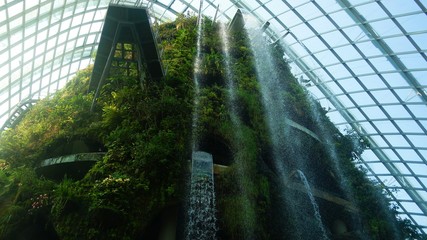 world's tallest indoor waterfall at 35 meters in Gardens by the bay cloud forest