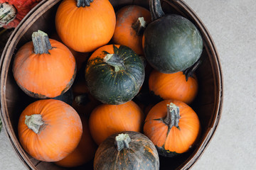 Orange gourd pumpkin for fall season decoration