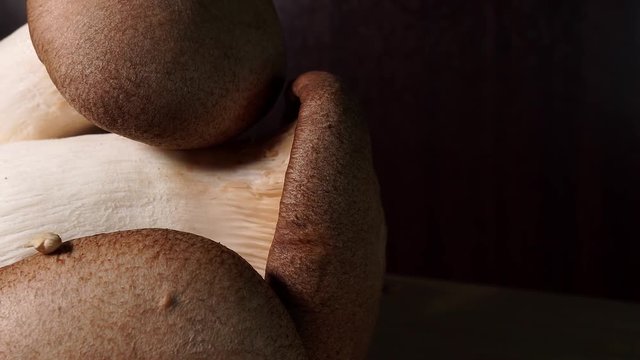 Large Mushrooms staked on top on each other isolated indoors on wooden cutting board