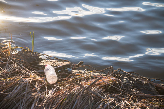Abandoned plastic bottle at the lake