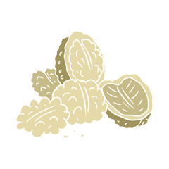 flat color style cartoon walnuts