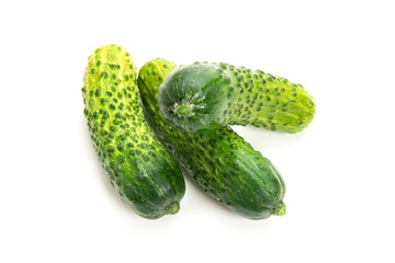 ガーキンきゅうり