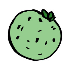 cartoon doodle grapefruit