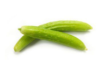 うぐいすキュウリ