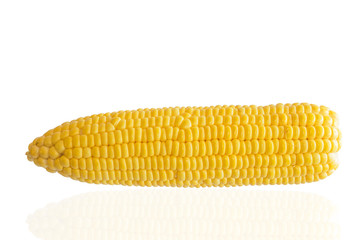 Fresh sweet corn