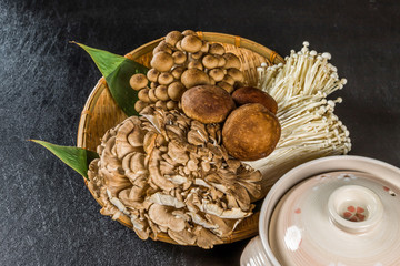 美味しいきのこの盛り合わせ delicious mushroom platter