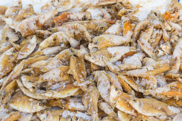 Fish Fry