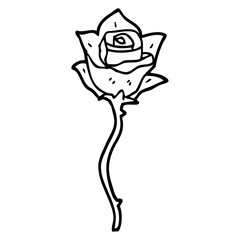 line drawing cartoon white rose