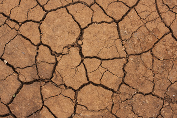 dry cracked earth