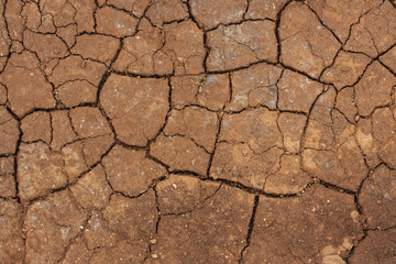 dry cracked earth