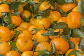 Orange fruits background