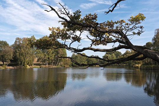 the Meerpfuhl pond at Merzhausen, a district of Usingen, Hesse, Germany