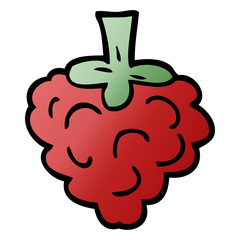 cartoon doodle raspberry