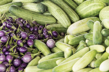 Cucumber and aubergine