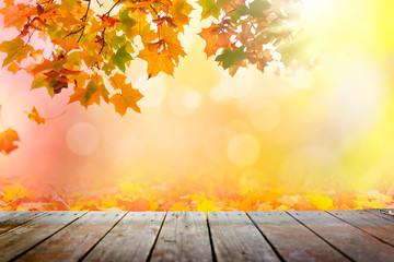 Naklejka na ściany i meble Multi colored autumn leaves bokeh background over wooden deck 