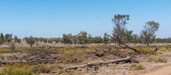 Deforested Land In Australia