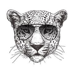 Portrait of Leopard with sunglasses, hand-drawn illustration, vector