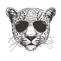 Portrait of Leopard with sunglasses, hand-drawn illustration, vector © Victoria Novak