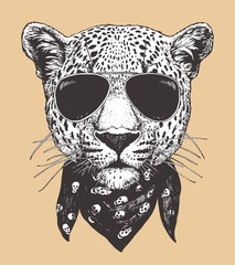 Portrait of Leopard with sunglasses and scarf, hand-drawn illustration, vector