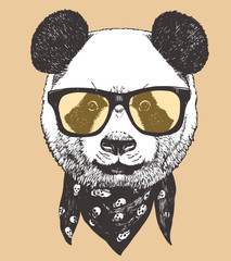 Portrait of Panda with glasses and scarf, hand-drawn illustration, vector