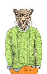 Portrait of Leopard dressed up in sweater, hand-drawn illustration, vector
