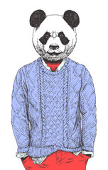 Portrait of Panda dressed up in sweater, hand-drawn illustration, vector