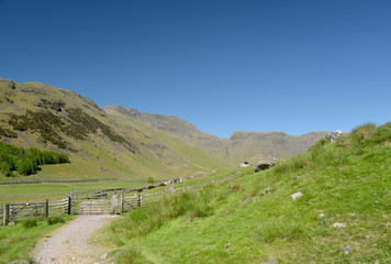 Bowfell at head of Mickleden valley, Lake District