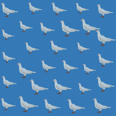 Dove pattern background