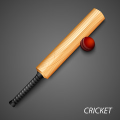 Cricket background with bat and ball template