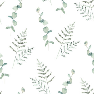 Watercolor seamless pattern witn eucalyptus  and fern branch. Hand drawn illustration. Floral background