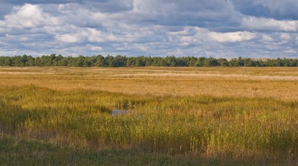 Fototapeta premium Rund um den Bodden -Fischland-Darß-Zingst-