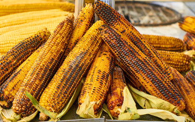 Fototapeta na wymiar Roasted corn