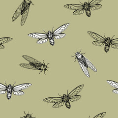 Vector illustration. Cicadas . Vector pen style sketch. Element of seamless pattern. Paper design.