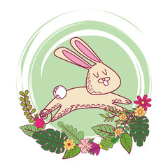 rabbit cute cartoon