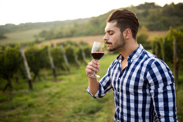 Fototapeta premium Wine growers tasting wine in vineyard