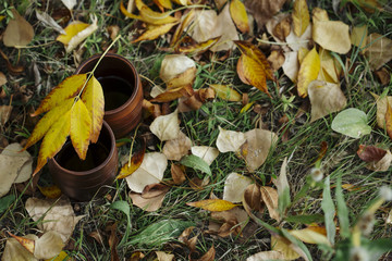 clay cups with tea in the autumn forest among the fallen leaves. warm autumn and warming tea