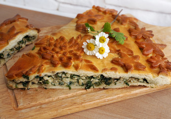 Fresh baked traditional pie with green onions and eggs