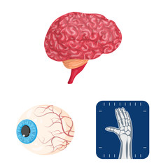 Vector illustration of body and human logo. Set of body and medical stock vector illustration.