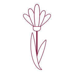 Flower cartoon isolated